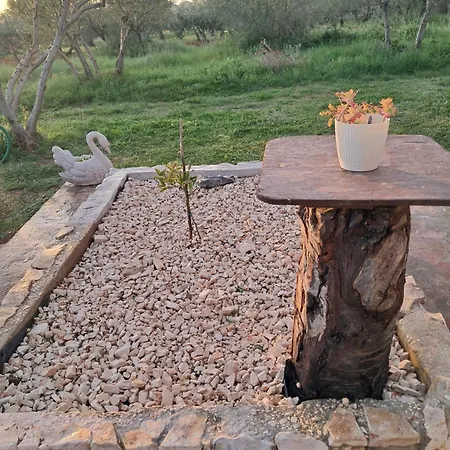 Apartan G8 * Bibinje