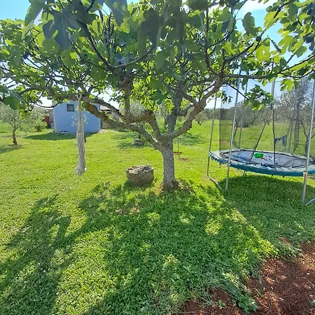 Apartan G8 Apartment *