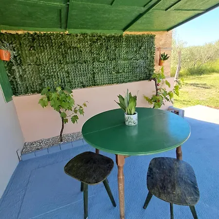 Apartment G8 *