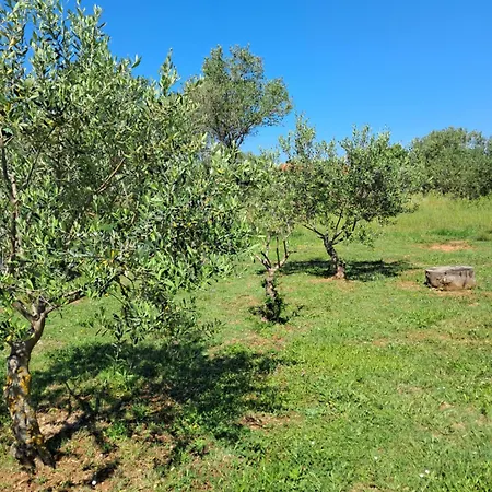 Appartamento G8