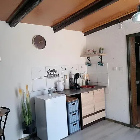Maslina Bibinje
