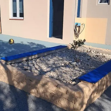 Maslina Bibinje